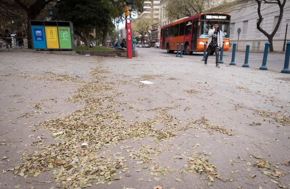 Contingencias Climáticas mantiene el alerta para hoy por vientos moderados e intensos.


Foto: Ignacio Blanco / Los Andes