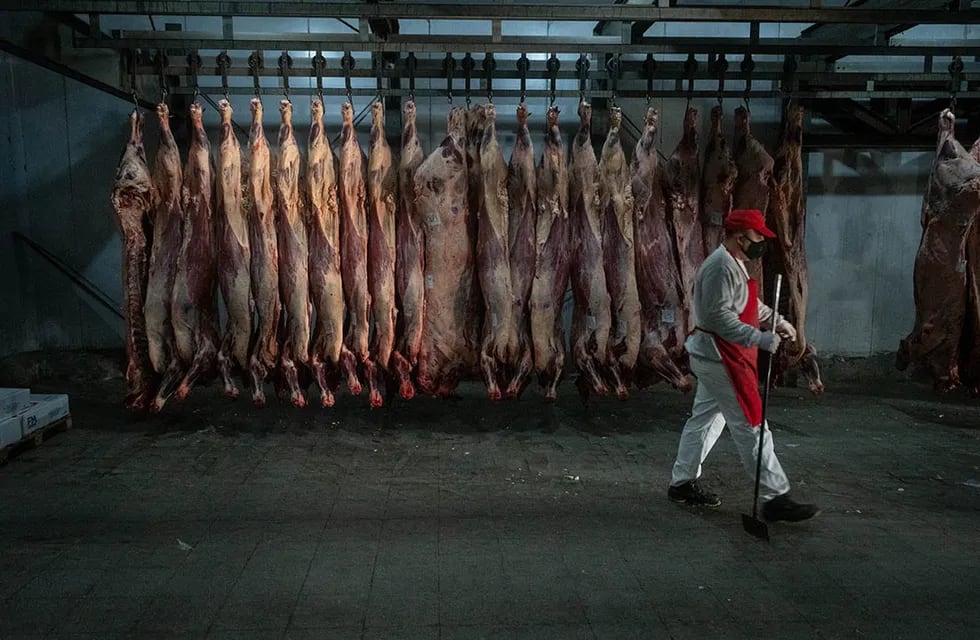El gobierno dio marcha atrás y la carne se seguirá comercializando por media res. Foto: Ignacio Blanco / Los Andes
