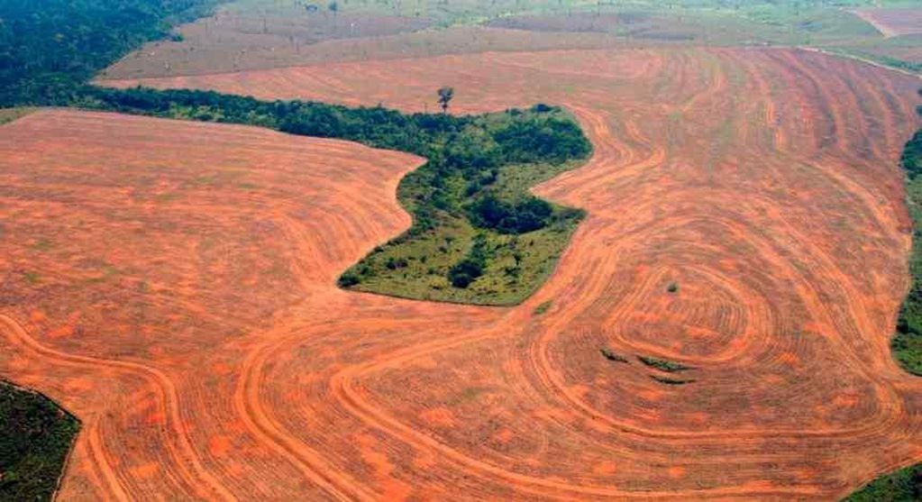 En la actualidad se deforestan 19 hectáreas de selva amazónica por hora. (AP/Archivo)