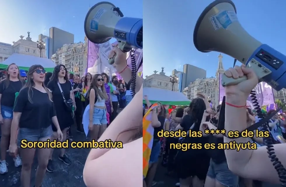 El hit feminista contra Javier Milei (Captura de video / TikTok @velozestefania)