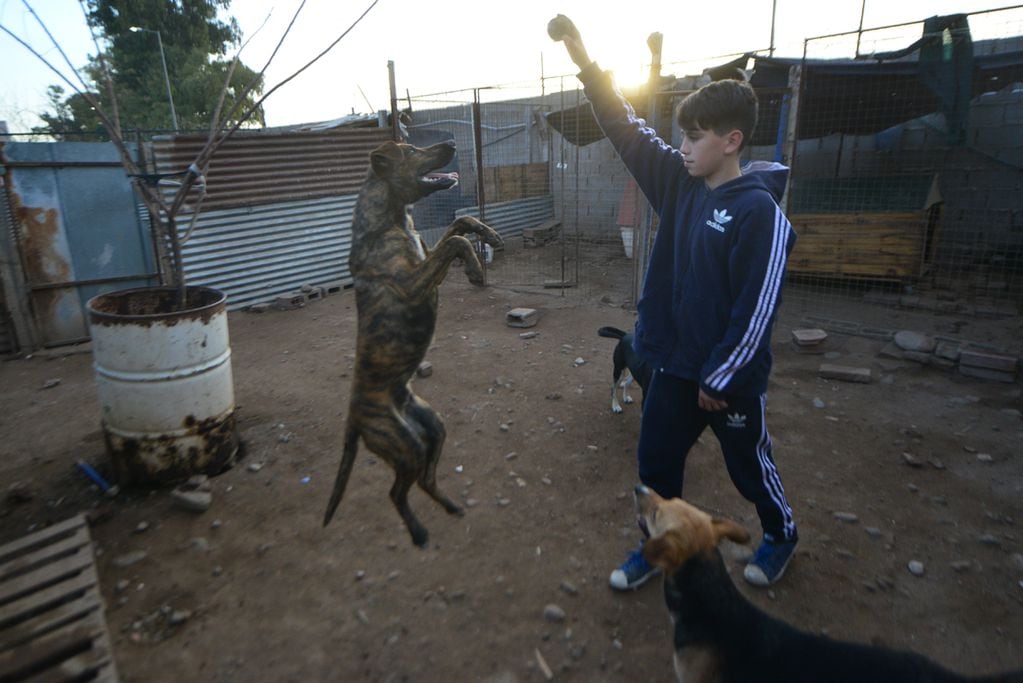 La Fundacion Garra se encarga de recoger perros callejeros, cuidarlos y darlos en adopción. Foto Javier Ferreyra