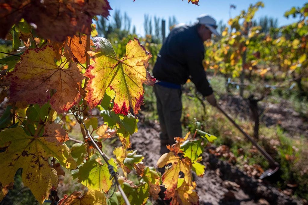 La actividad vitivinícola no logra hacer que Mendoza mejore su posición en el ranking de salarios privados nacionales.