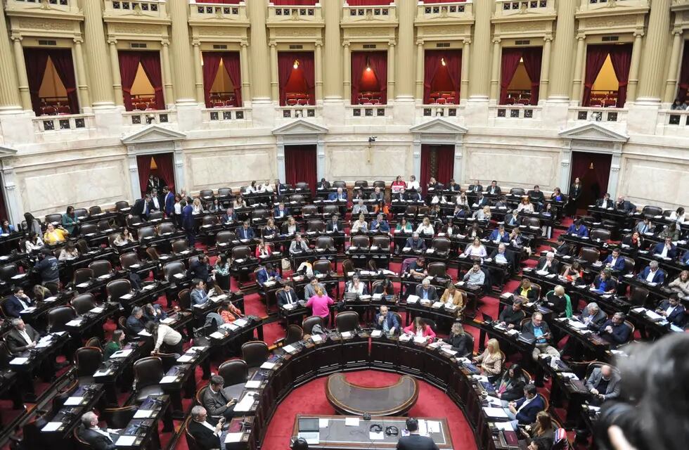 La Cámara de Diputados sesionará con un temario consensuado (Foto: Federico López Claro)