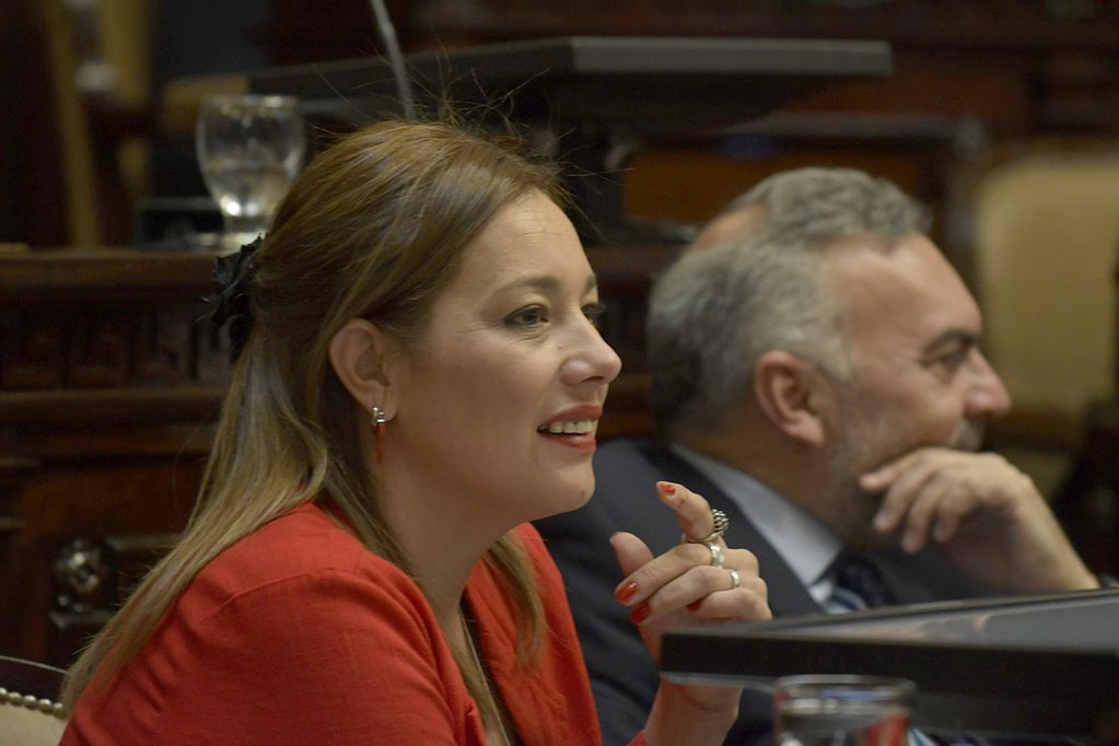 
En la foto: senadora provincial y jefa de bloque del PJ, Adriana Cano

 Foto: Orlando Pelichotti