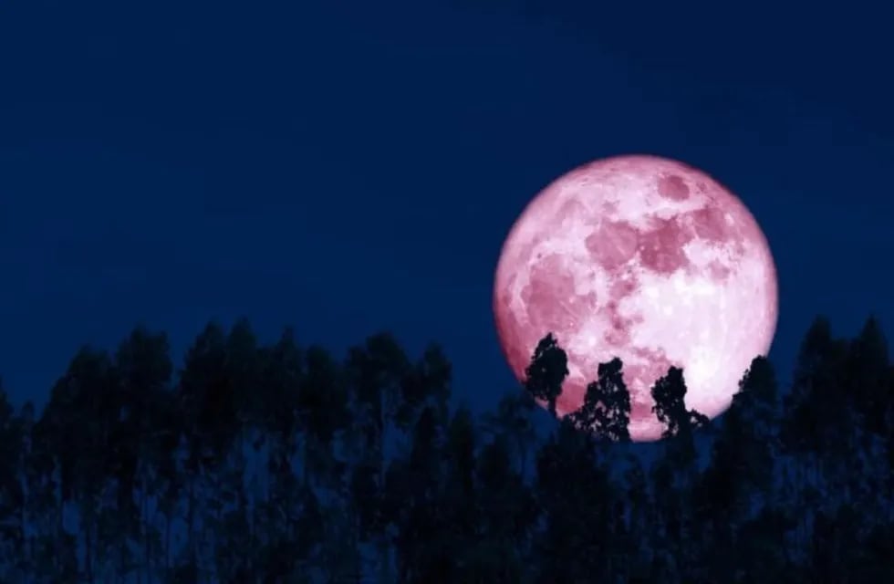 La luna de fresa ya comenzó y se podrá ver durante los próximos tres días. Foto: Web.