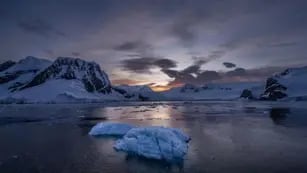 Preocupación por la pérdida de hielo en la Antártida: se desprendió una superficie del tamaño de Argentina
