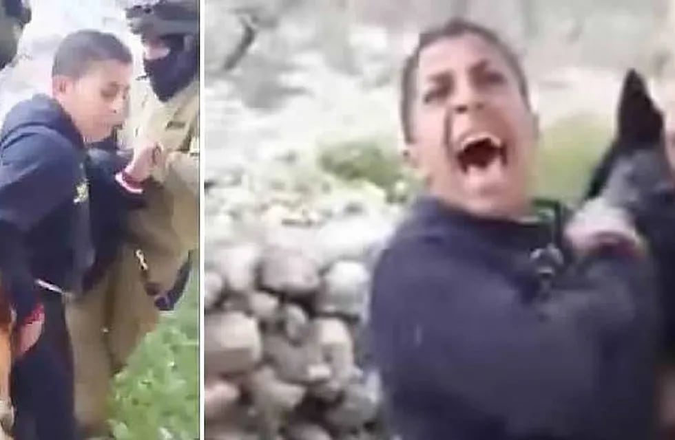 El video de soldados de Israel amenazando con un perro a un chico palestino conmueve al mundo