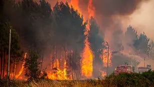Europa occidental lucha contra incendios y se prepara para temperaturas récord