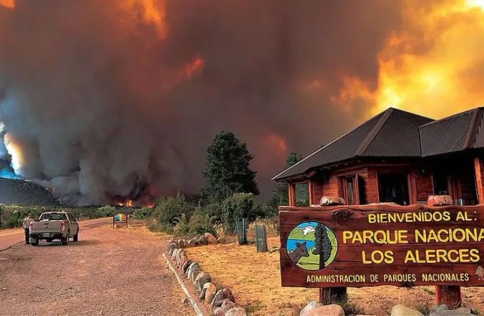 El incendio forestal en el Parque Nacional Los Alerces está “fuera de control” y ya alcanzó una superficie de 577 hectáreas. Foto: Redes.