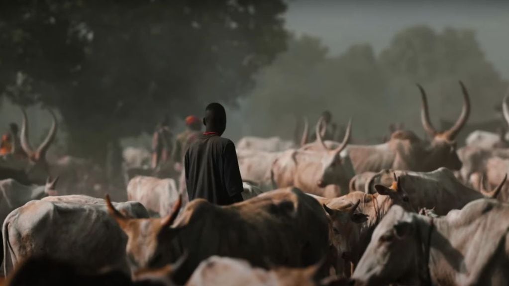 La tribu Mundari posee más de 500 mil vacas. Foto: Joe Hattab