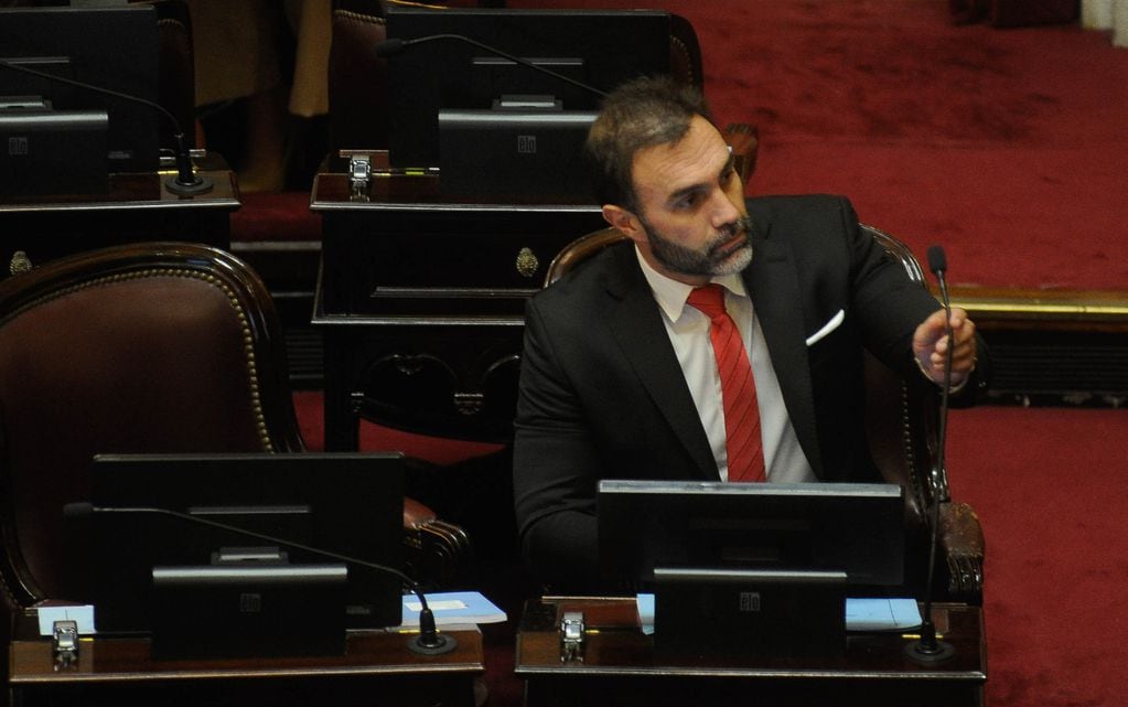 El jefe del bloque oficialista en el Senado, Ezequiel Atauche (Foto: Federico López Claro)