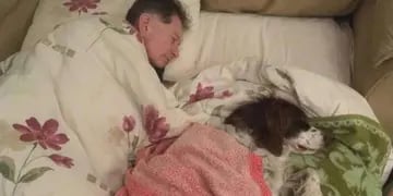 Duerme en el sofá para acompañar a su perro viejito, que ya no puede subir las escaleras