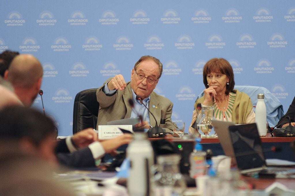 Diputados debaten el acuerdo con el FMI. (Federico López Claro)