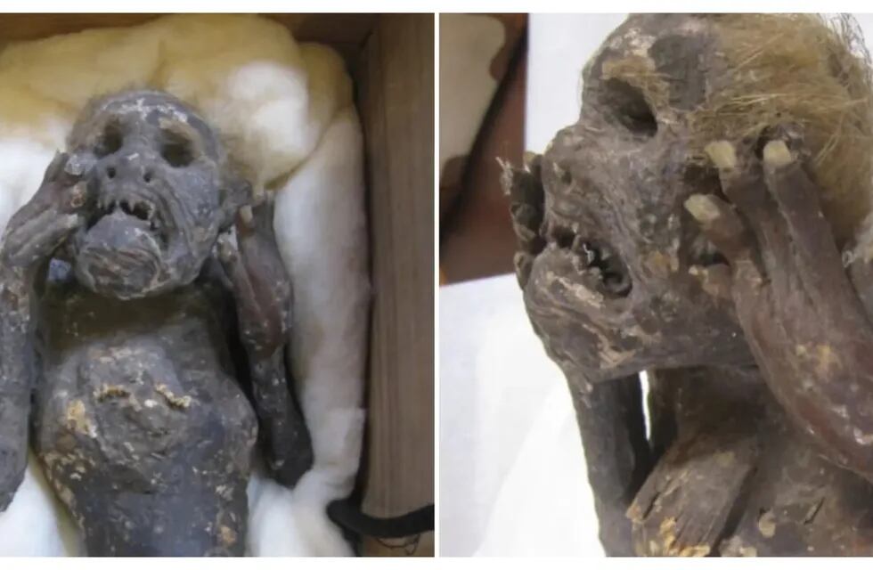 La sirena momificada que fue encontrada en el siglo XVI. (Foto: Gentileza New York Post)