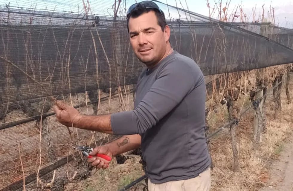 Gerardo Bianchetti trabaja en un viñedo de Tupungato.
