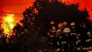 Incendios forestales en Viña del Mar, Chile