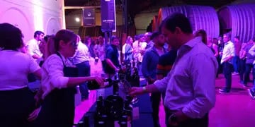 Feria de Vinos de Guarda14