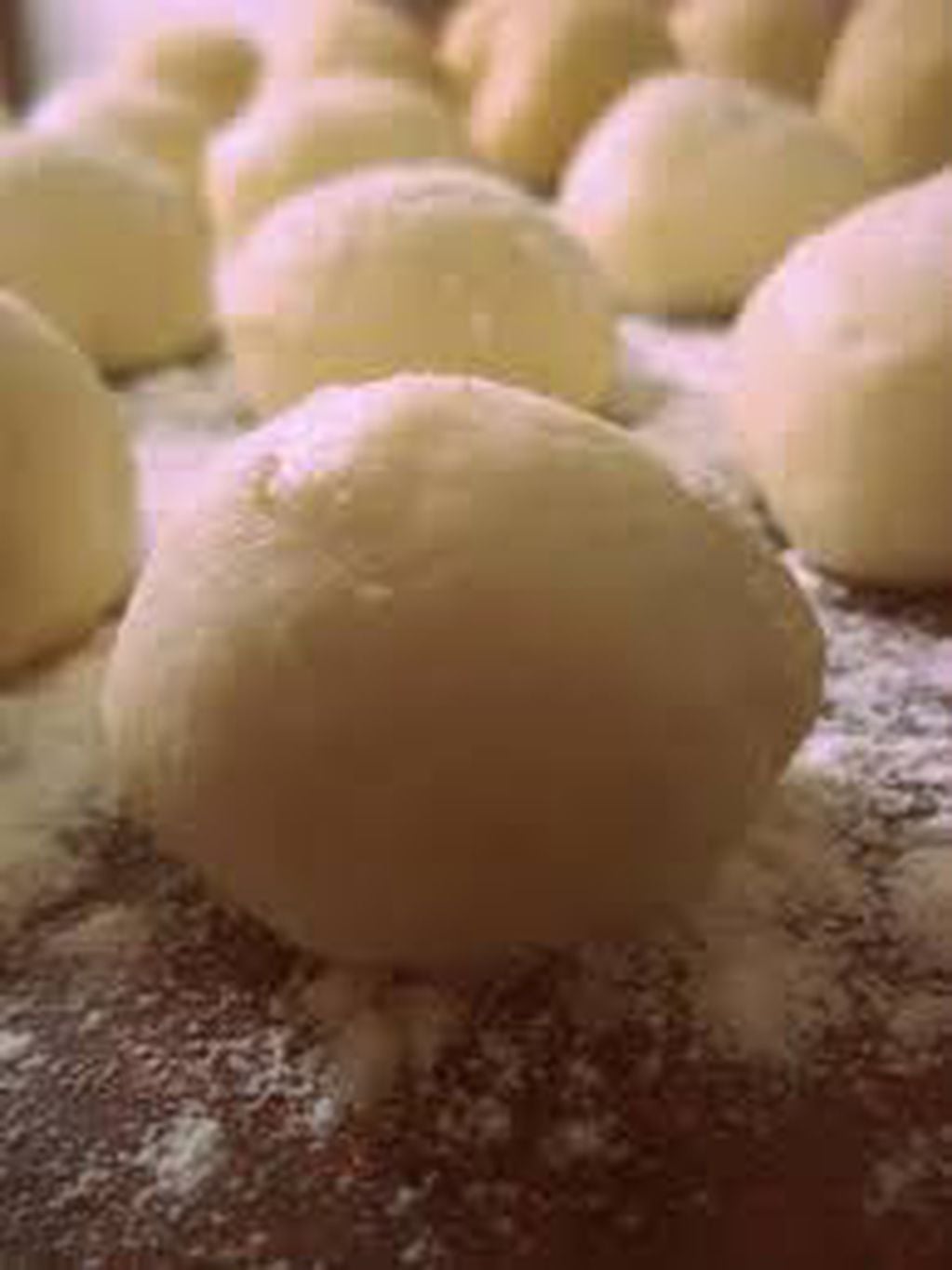 Foto 1: Bollitos de masa para preparar tortitas mendocinas