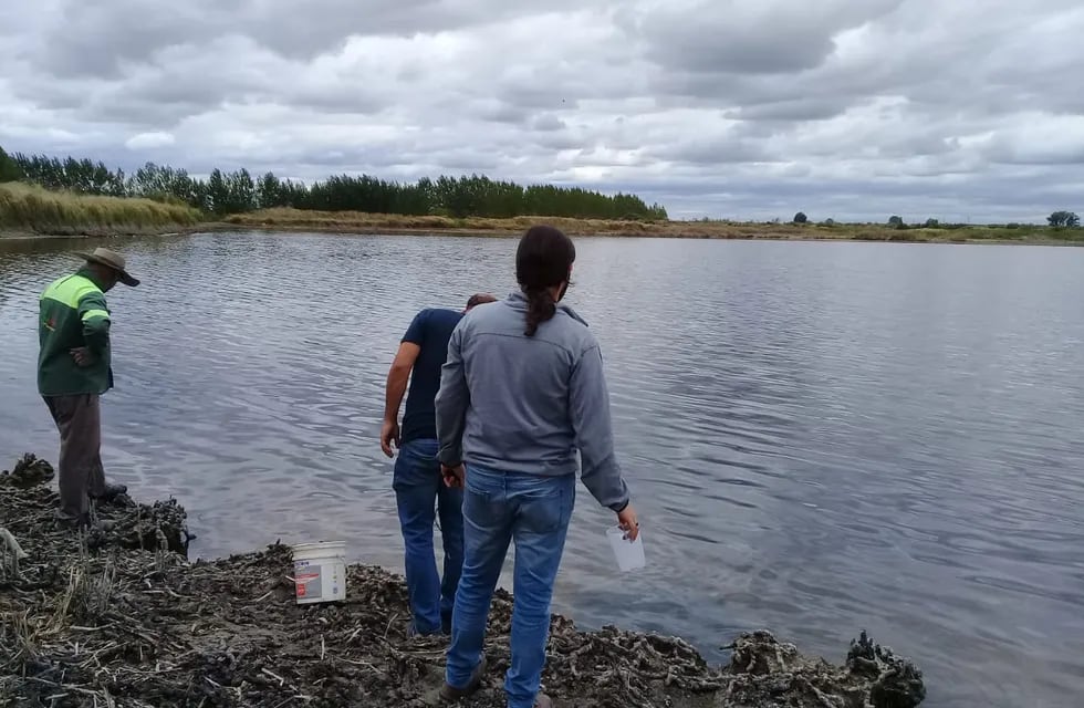 Las autoridades hallaron en la laguna niveles preocupantes de químicos y poca cantidad de agua. Foto: Departamento General de Irrigación.