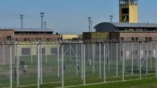 Una penitenciaria termina presa por tener sexo con un preso