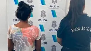 Una mujer fue detenida acusada de golpear con un ladrillo a su hija de 7 años en La Plata
