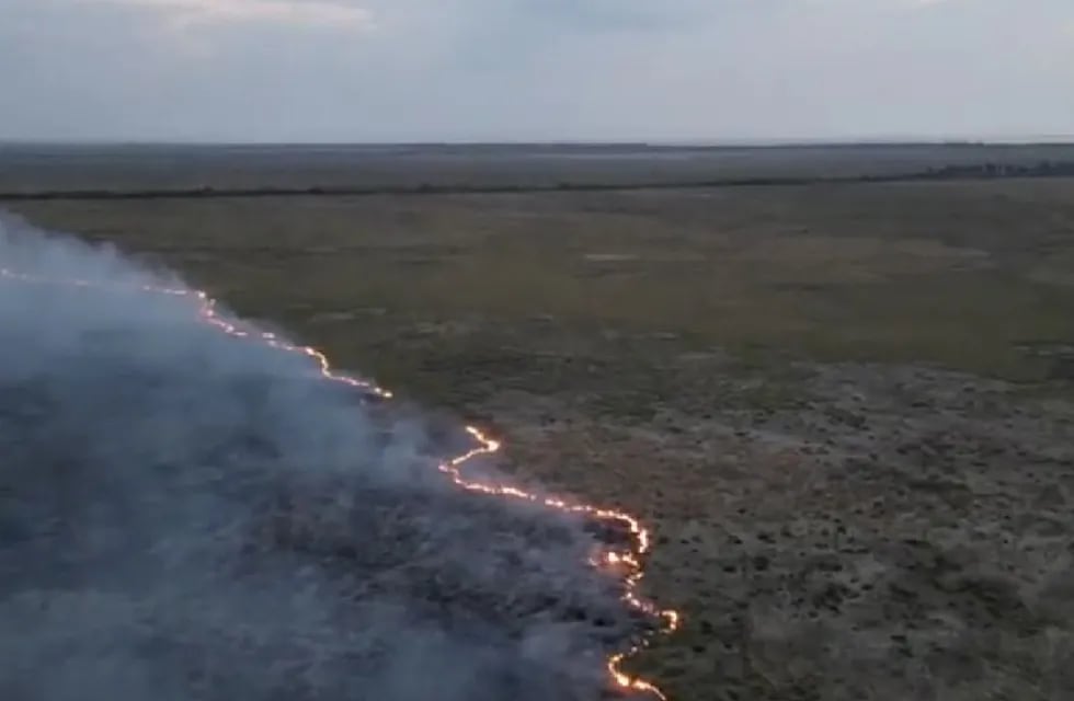 Un incendio forestal afecta la Reserva Natural de Punta Lara.