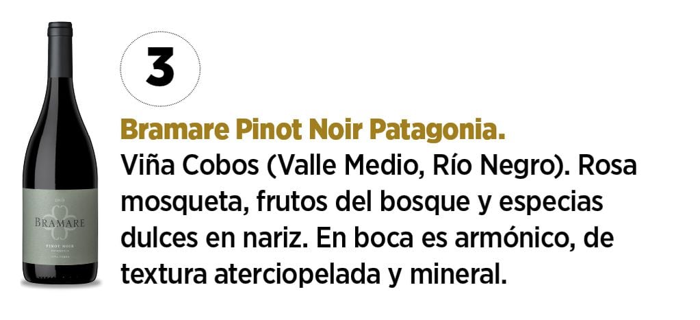 Bramare Pinot Noir Patagonia
