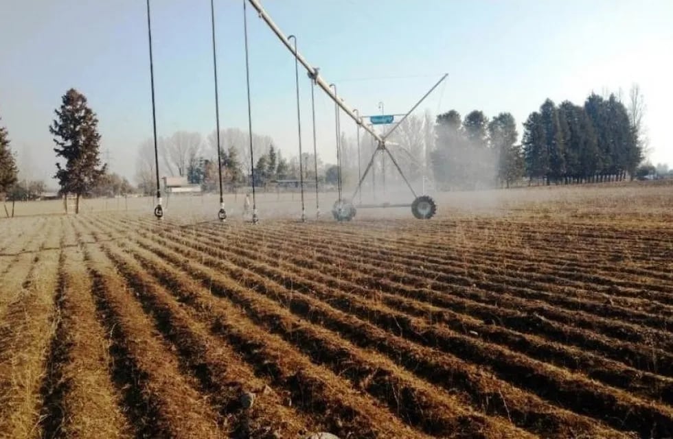 El "pivote central", el novedoso método de riego por rocío que aplica la Facultad de Ciencias Agrarias de la UNCUYO en sus parcelas agrícolas.