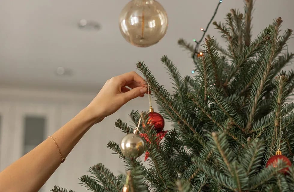 Cuánto cuesta armar el arbolito de Navidad este año