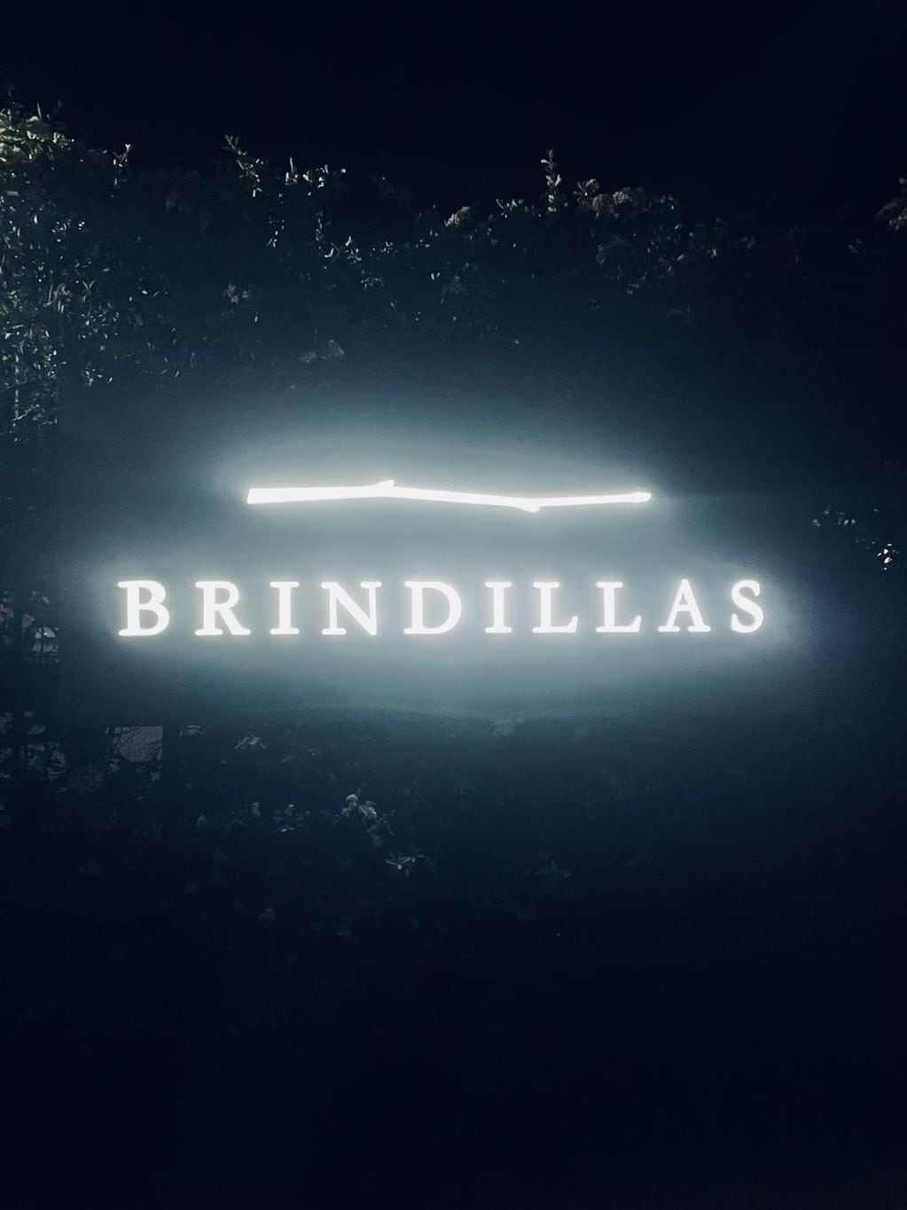Brindillas, el restaurante que dirige Mariano Gallego. - Foto: Los Andes