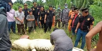 Los vecinos mataron al cocodrilo y lo abrieron para extraer el cuerpo del niño