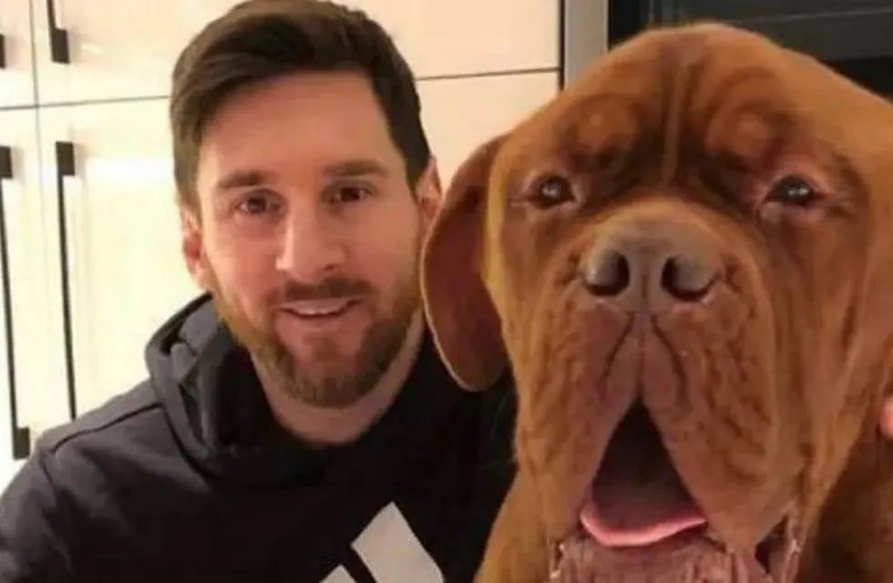 Hulk, el perro de Messi tiene una avanzada edad.