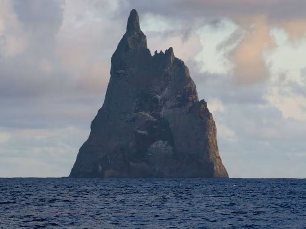 La isla de Lord Howe donde viven los "insectos de palo".