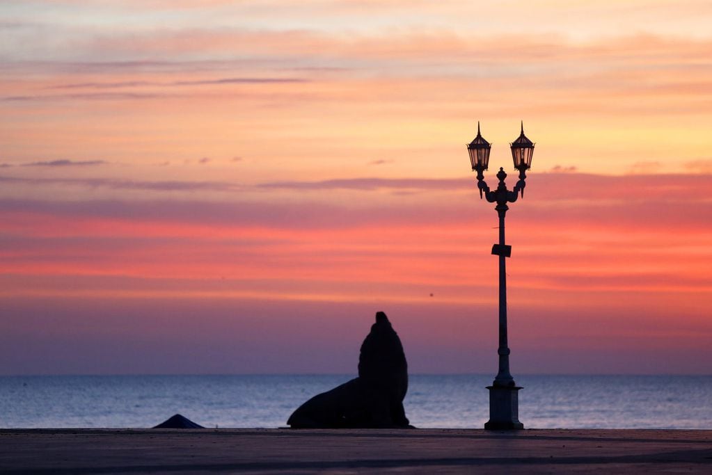 Cuánto costará visitar Mar del plata en verano. (Foto: Turismo Mar del Plata)