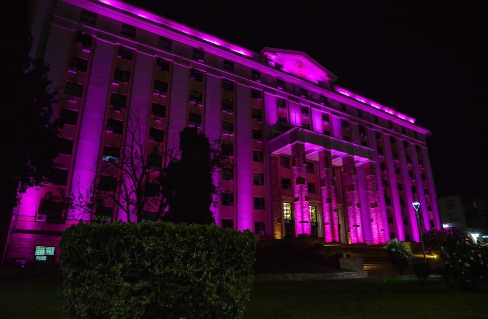 Al igual que otros edificios históricos de nuestro país, la Casa de Gobiernos se vistió de rosa en este día tan especial