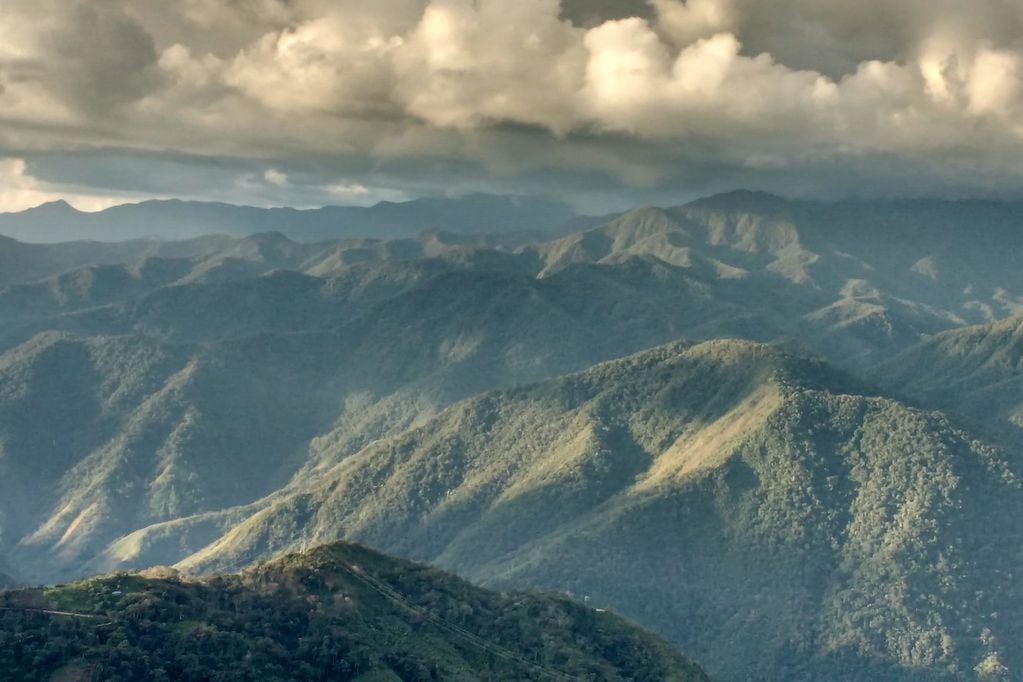 Vista de bosques tropicales de los Andes peruanos.
