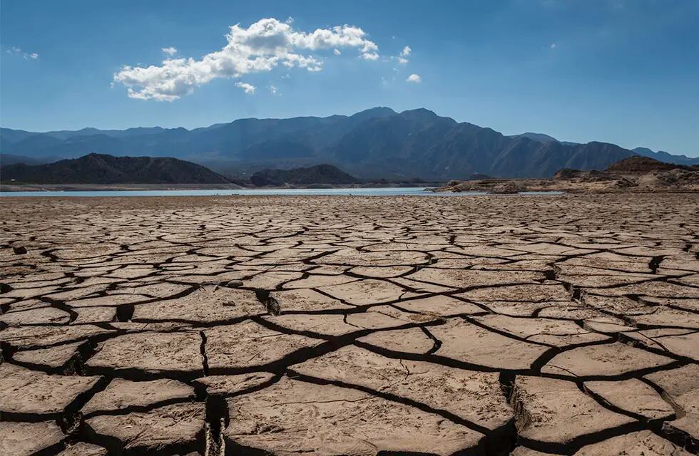 La sequía está afectado las producciones agropecuarias de todo el país. - Ignacio Blanco / Los Andes