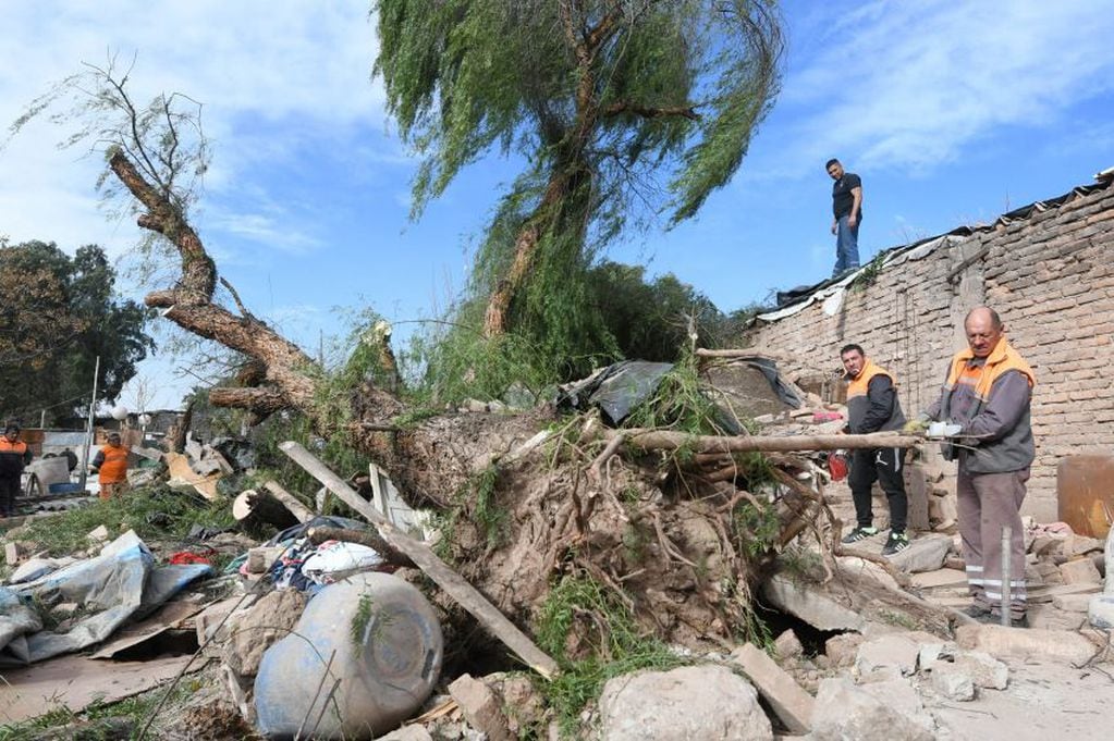
Caso fatal. Una señora falleció al caer un árbol sobre su casa | José Gutiérrez / Los Andes
   