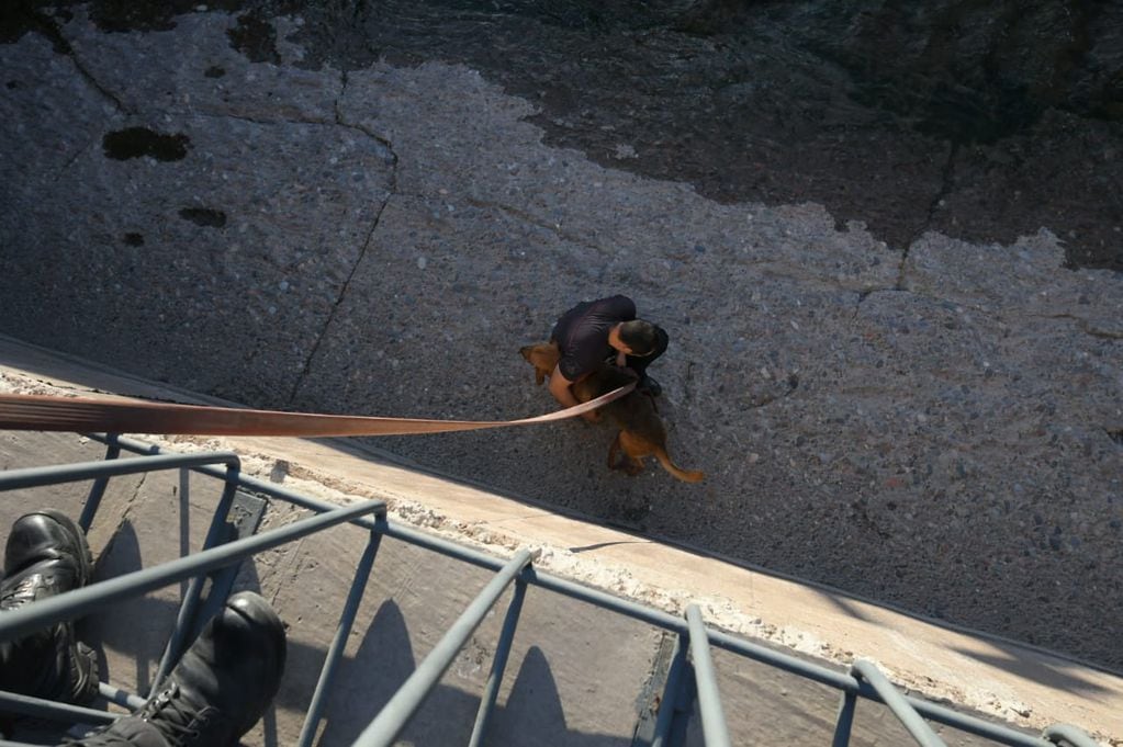 Fotos y video: bomberos rescataron a un perrito en el canal Cacique Guaymallén y evitaron que se ahogue. Foto: Ignacio Blanco / Los Andes.