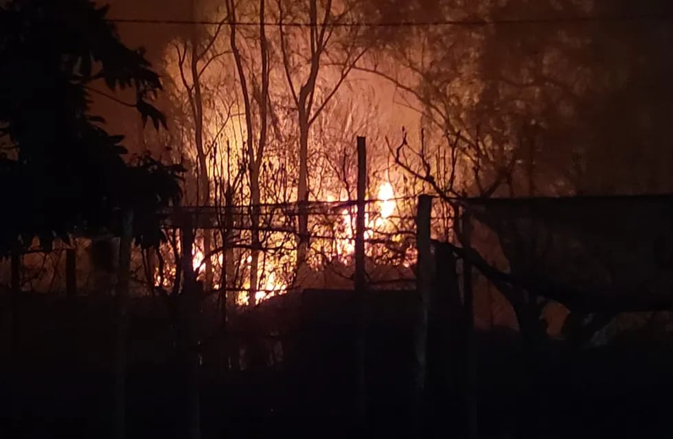 Guaymallén también sufre incendios: 25 focos, 2 aserraderos quemados y animales muertos 