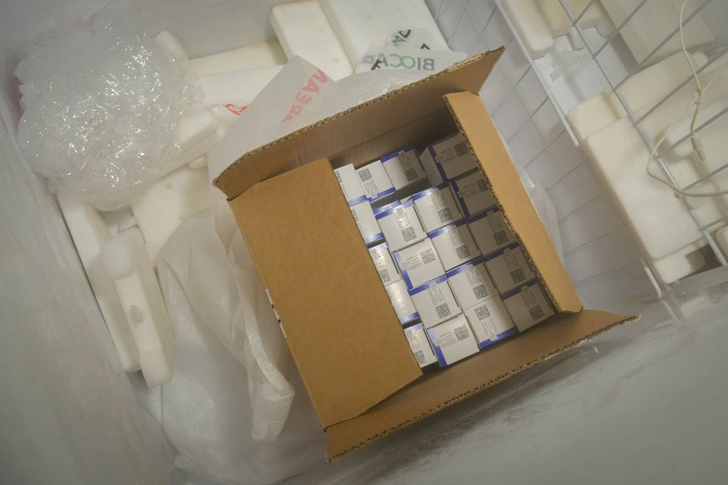 Se espera que este martes lleguen a Mendoza 5.000 primeras dosis del más reciente de los envíos que la Nación trajo de Rusia.

