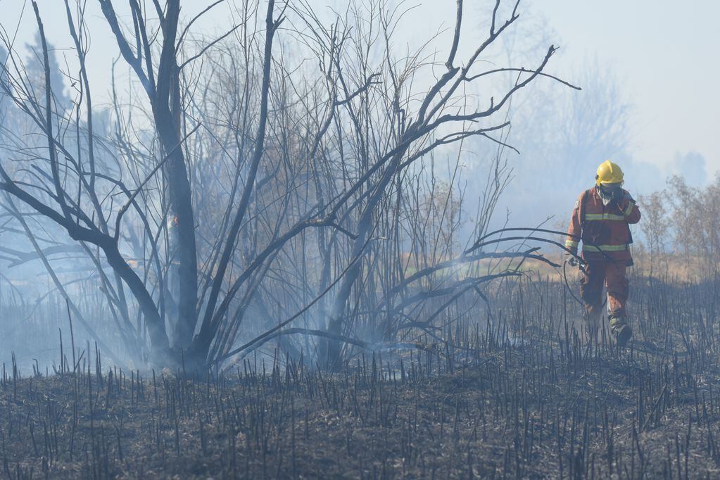 Un bombero camina la zona del incendio de Guaymallén.