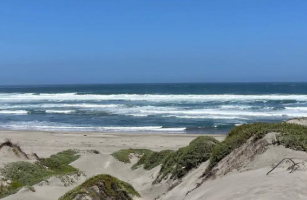 Ritoque, la tranquila playa de dunas y bosques ubicada a una hora de Reñaca e ideal para surfear. Foto: Instagram @bmorera