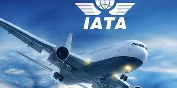 Asociación de Transporte Aéreo Internacional (IATA)