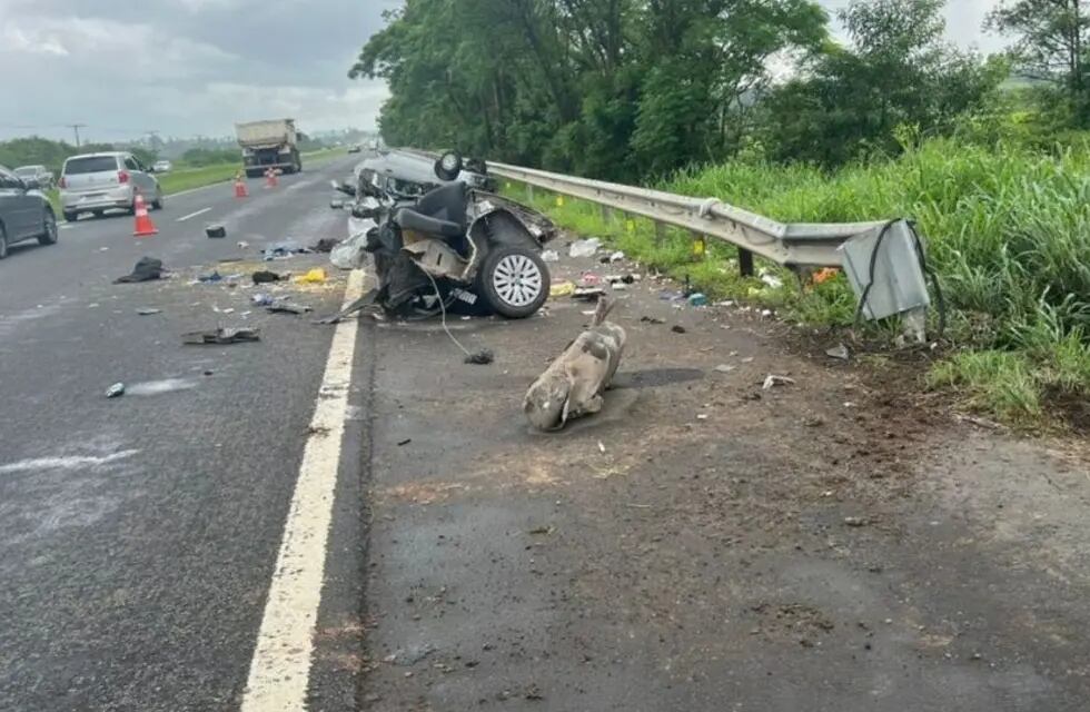 Una argentina de 22 años murió en Brasil tras impactar contra el guardarraíl de una ruta. Foto: Gentileza Clarín.
