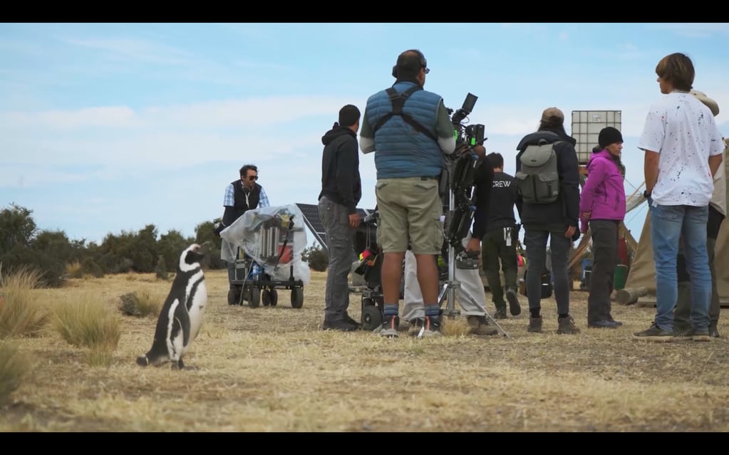 Rodaje de la película El pingüino y el pescador, una coproducción de Frontera+ y una productora de Hollywood, que distribuirá Universal