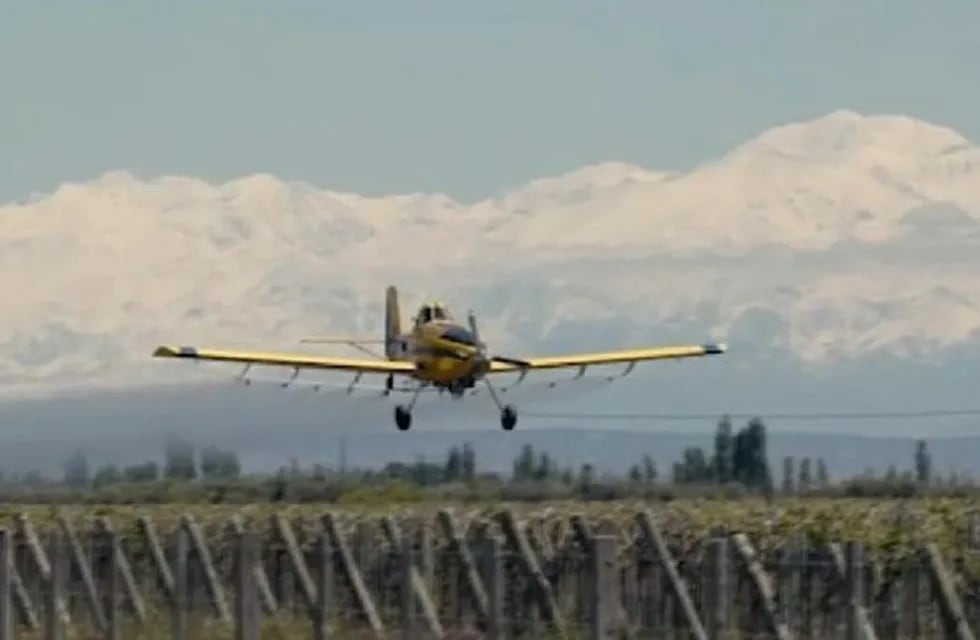 Los aviones sobrevuelan los viñedos de la zona norte en Mendoza.