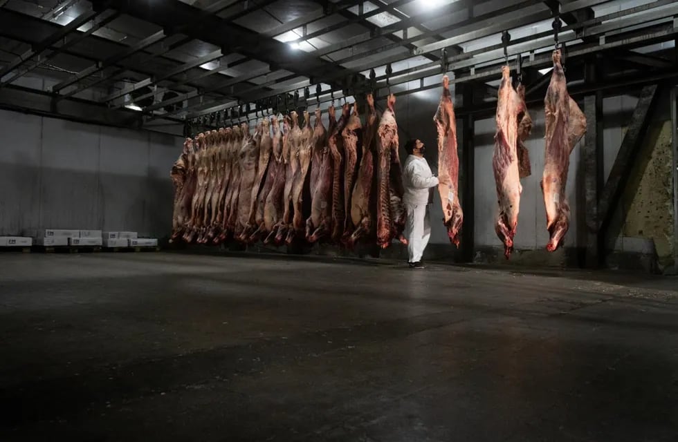 La prohibición y posterior restricción a la exportación de carne ha generado críticas al gobierno. Foto: Ignacio Blanco / Los Andes