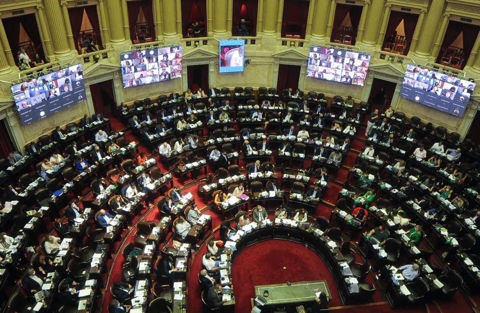 Diputados aprobó el proyecto de legalización del aborto. Federico López Claro / Clarín
