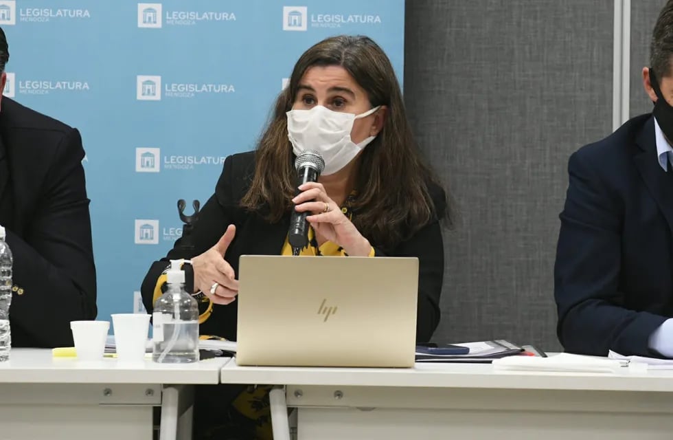 La ministra de Salud de Mendoza, Ana María Nadal, explica en la Legislatura la demora en la carga de muertos por Covid-19. Foto: José Gutiérrez / Los Andes